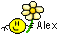 Alex Smiley – Namen mit Blume